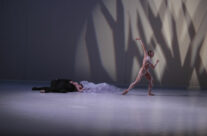 Les Ballets de Monte Carlo « La belle »